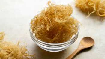 Sea moss in a clear bowl next to a wooden spoon on the countertop