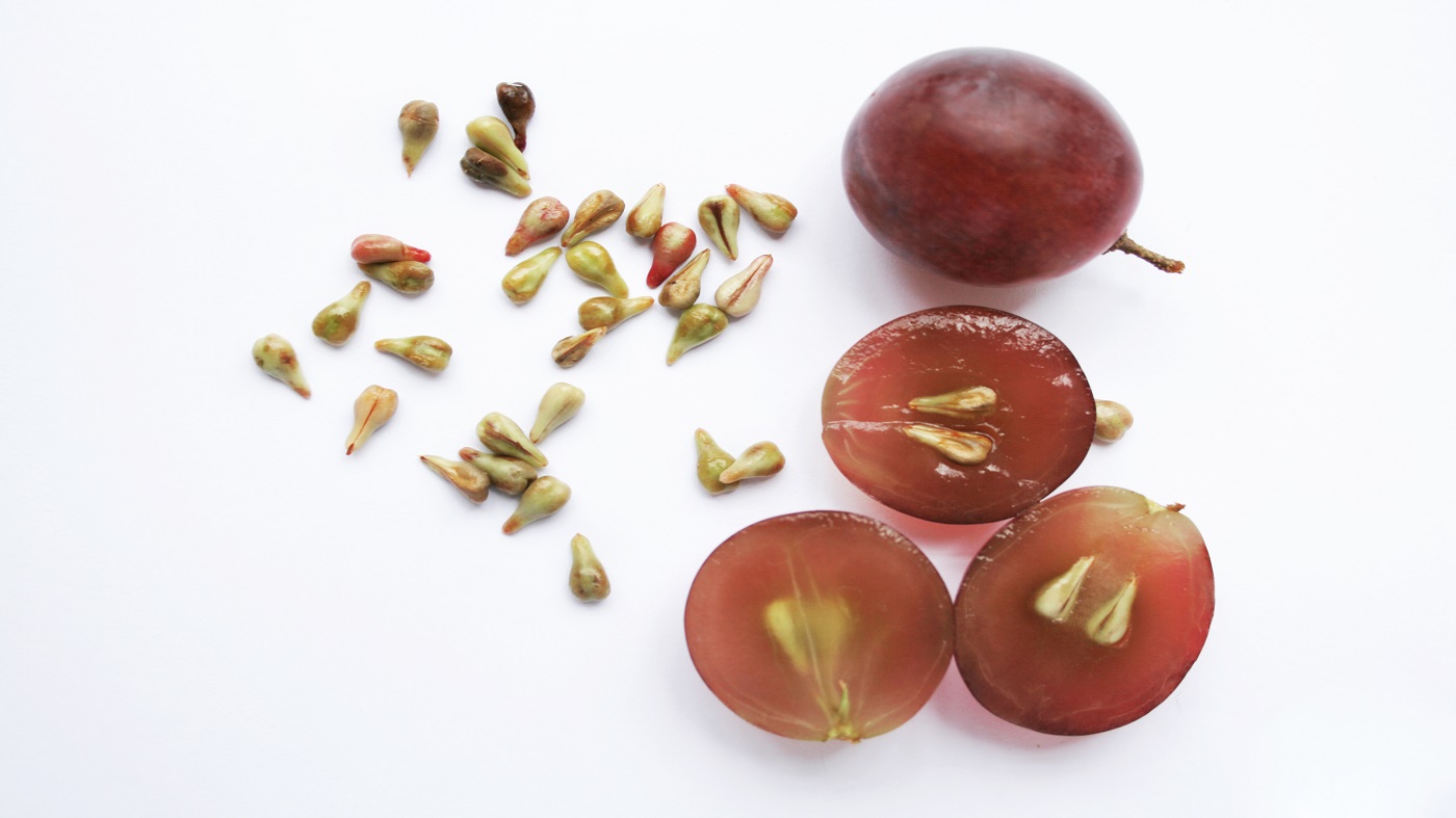 What are the benefits of grape seed extract? - ConsumerLab.com