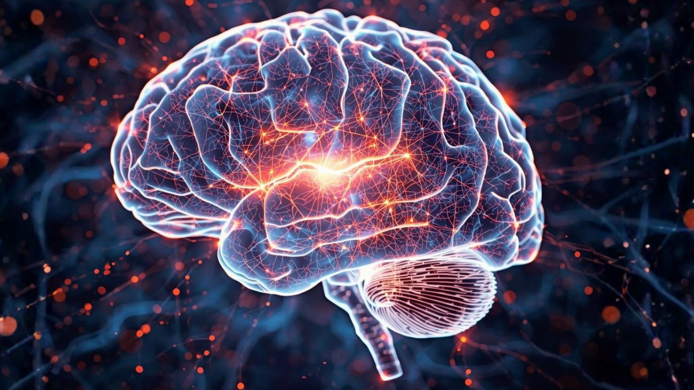 Memory Cognition Image for Noopept
