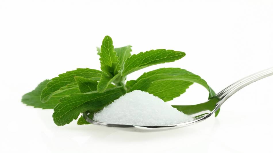 Stevia Health Benefits & Safety -- stevia leaf spoonful of stevia 