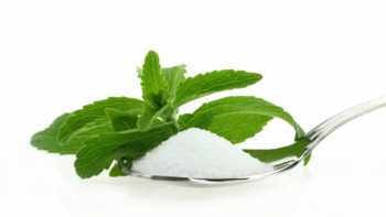 Stevia Health Benefits & Safety -- stevia leaf spoonful of stevia
