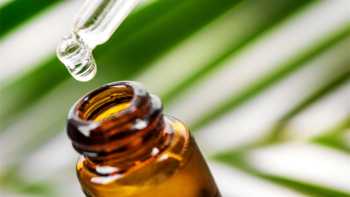 Tea Tree Oil for Athlete's Foot? -- Bottle of Tea Tree Oil