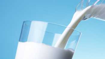 Lactose_free_milk_calcium