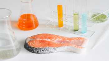 salmon filet with test tubes and beakers for mercury testing