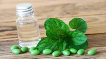 Peppermint Oil for IBS? -- Bottle of peppermint oil and capsules and peppermint leaf