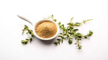 Bacopa for Memory and Cognition -- Bacopa leaves and powder