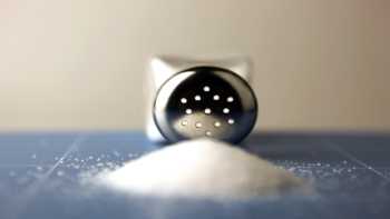 Lite Salt and Salt Substitutes with Potassium -- Salt Shaker