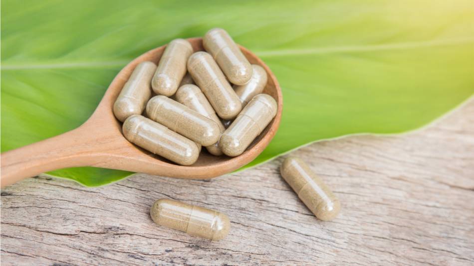Capsules of AHCC in wooden spoon in front of green leaf