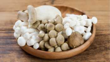 Various types of mushrooms that contain ergothioneine in a wooden bowl on a wooden countertop