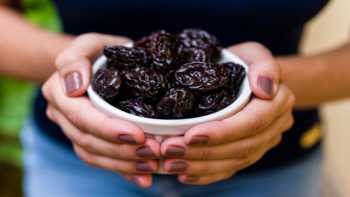 Prunes and Osteoporosis