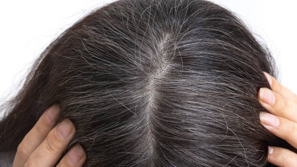 A young woman shows gray hair on her head on a white background