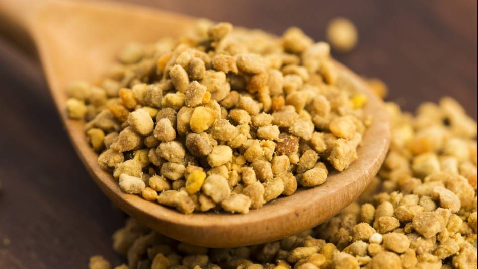 A wooden spoon holding bee pollen granules over a table