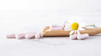 Apigenin capsules on wooden spoon along with a chamomile flower