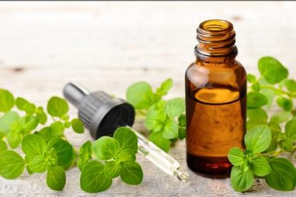 Oregano Oil Supplements: Choose Carefully