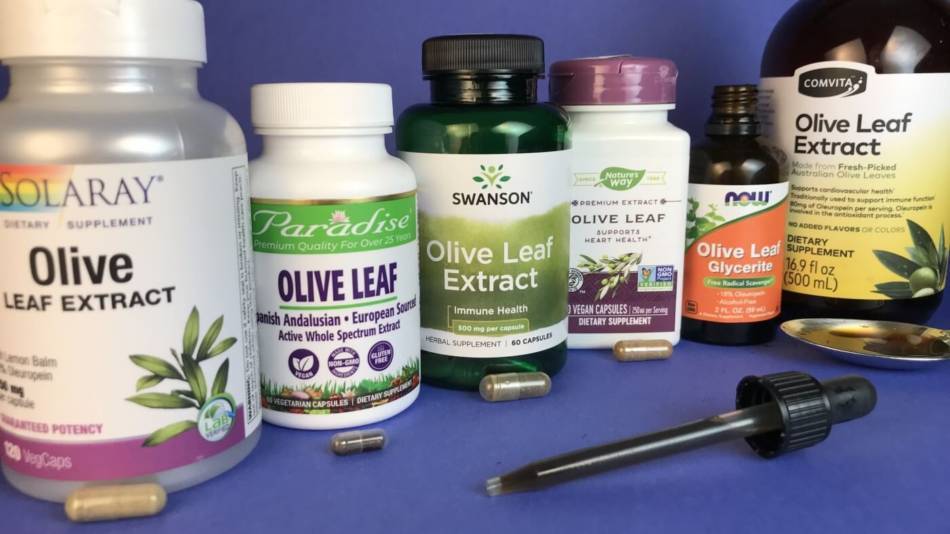 Olive Leaf: Learn What It Does & Best Brands