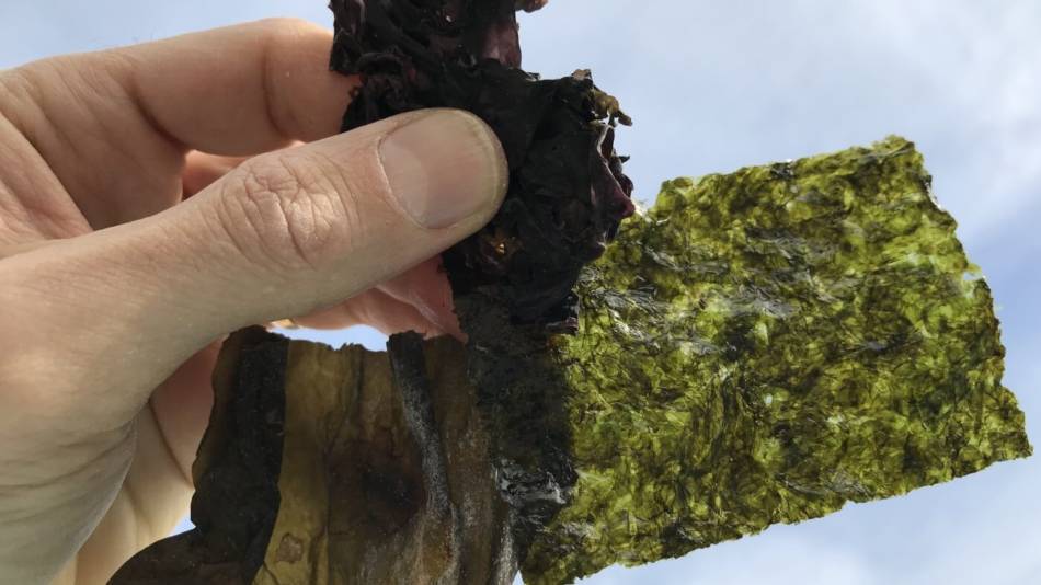 Seaweed for Vegetarians