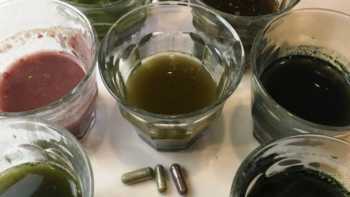 Caution With Spirulina Supplements: ConsumerLab Tests Reveal Lead Contamination, Quality Concerns