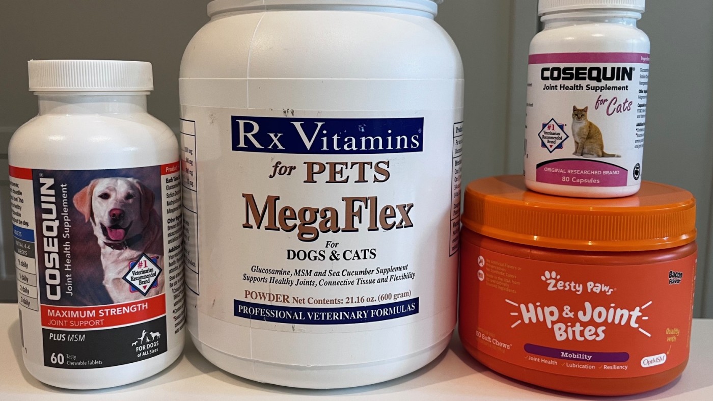 Joint Supplements for Pets