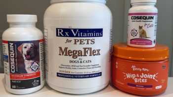 Joint Supplements for Pets
